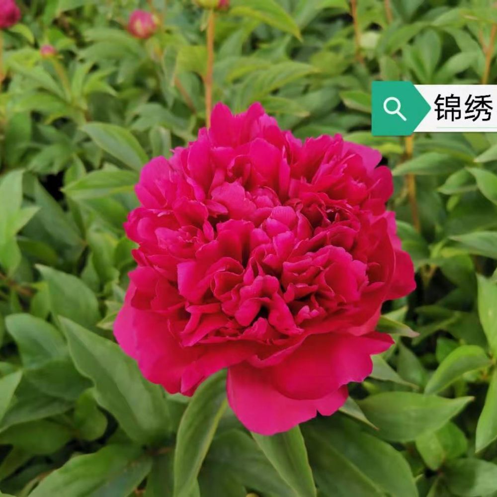 锦绣中华